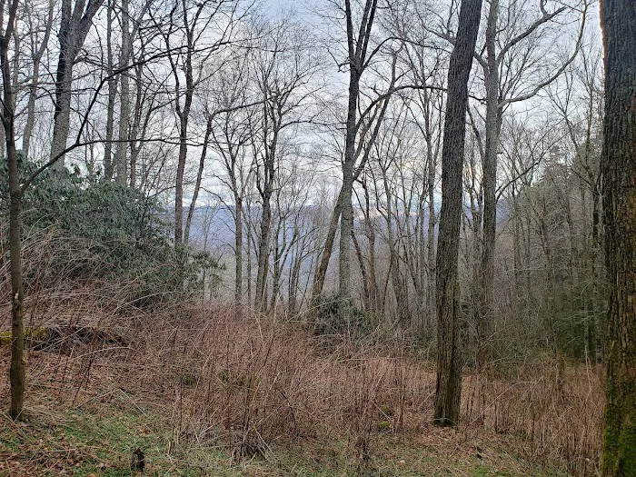 Cosby Knob Shelter 5