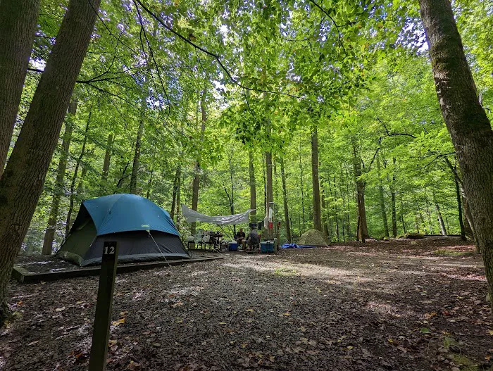 Big Creek Group Camp 3