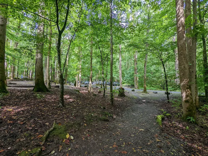 Big Creek Group Camp 6