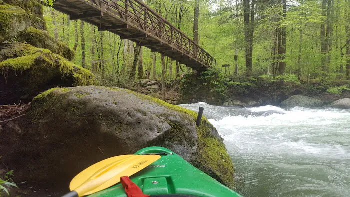 Big Creek Group Camp 9