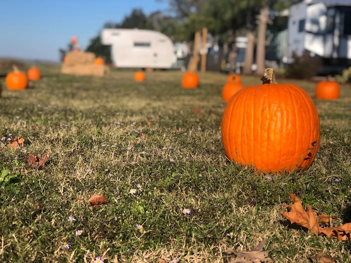 Barefoot RV Resort 4