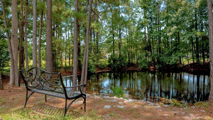 Country Lakes 6