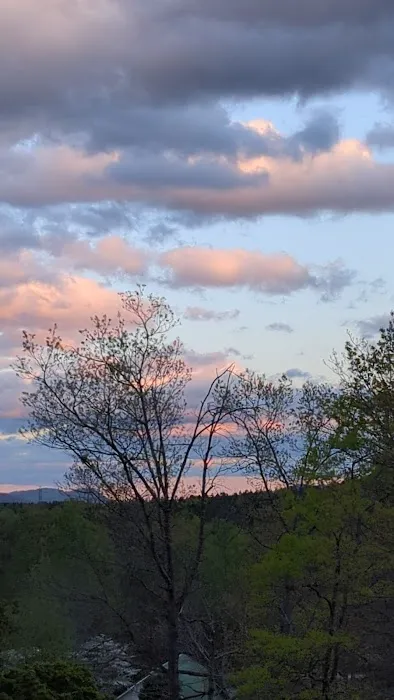 Deer Park Campground 5