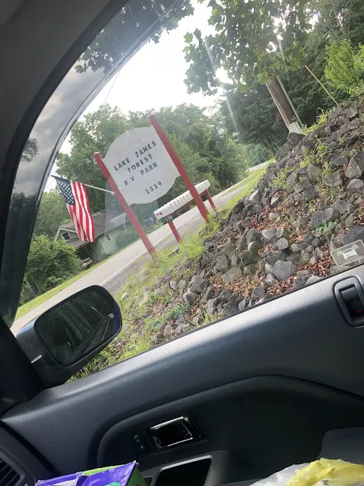 Lake James Forest RV Park 8