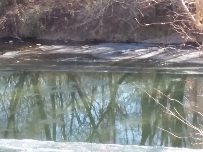 Mad Mama's River Run Campground 3