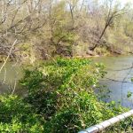 Mad Mama's River Run Campground
