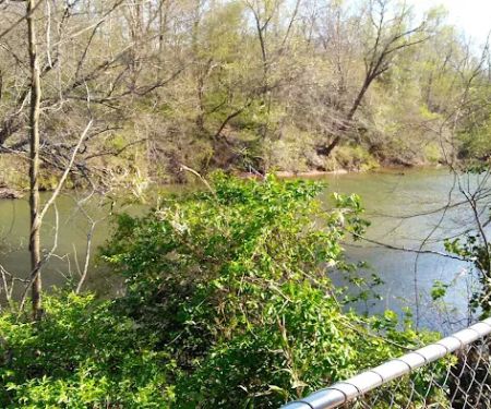 Mad Mama's River Run Campground