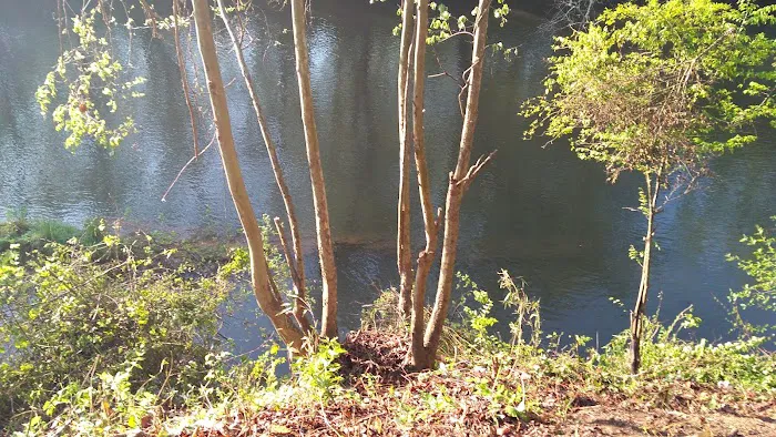 Mad Mama's River Run Campground 7