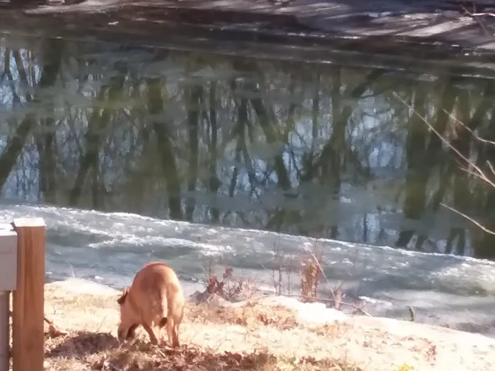 Mad Mama's River Run Campground 9