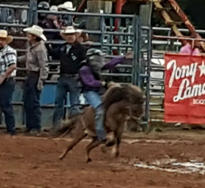 Tough Enough Rodeo and Campground 10