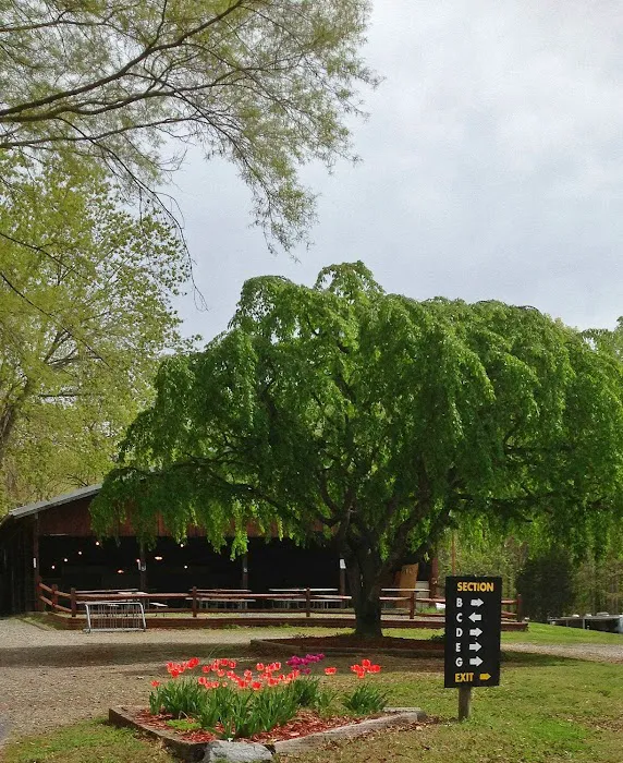 Lake Myers Campground 6