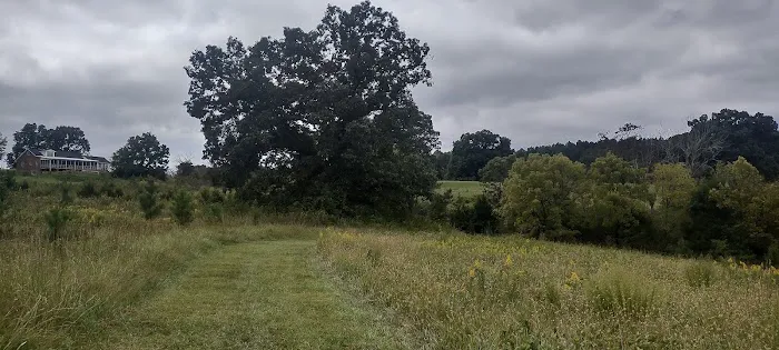 Van Hoy Farms Campground 8