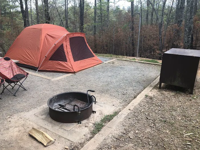 Paddy's Creek Campground 2