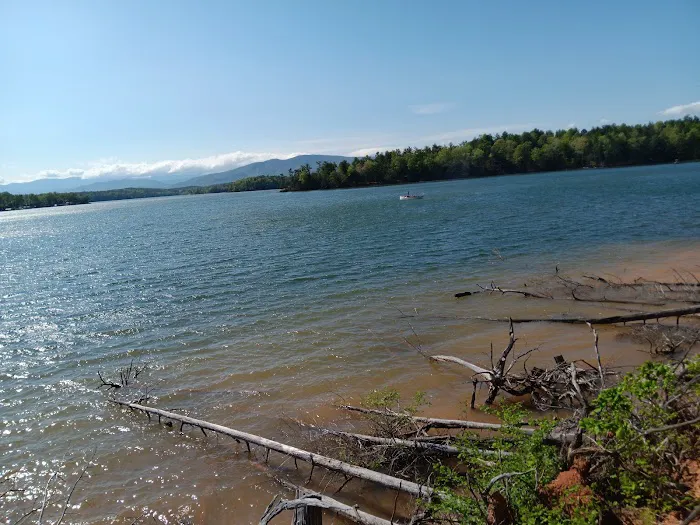 Paddy's Creek Campground 3