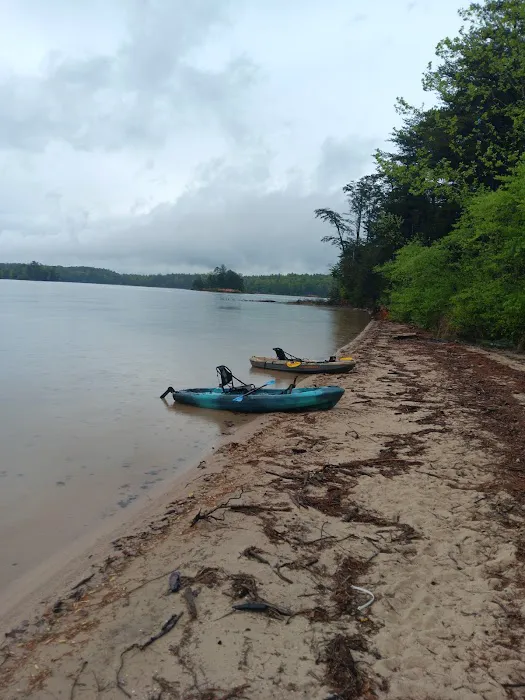 Paddy's Creek Campground 6