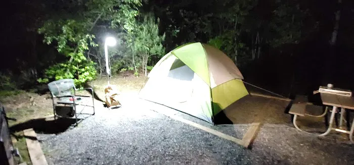 Paddy's Creek Campground 4