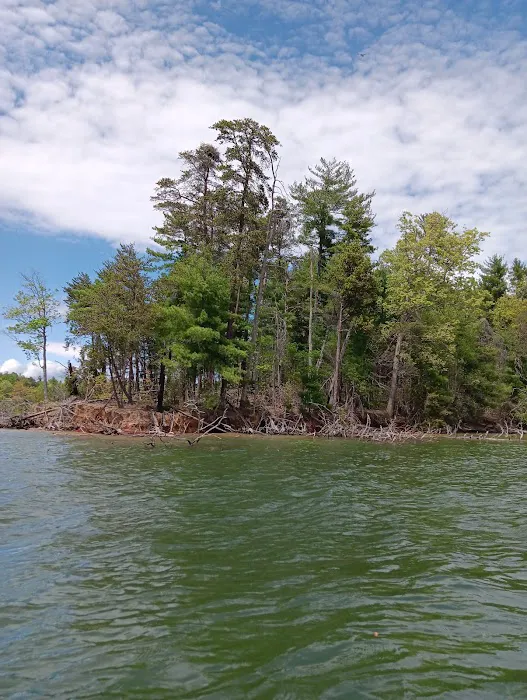 Paddy's Creek Campground 7