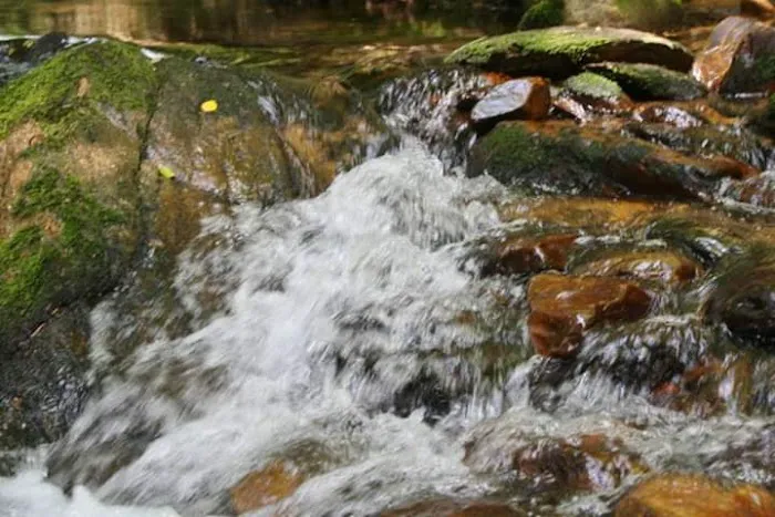 Paddy's Creek Campground 8