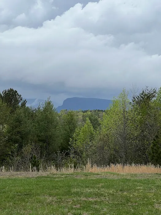 Paddy's Creek Campground 10