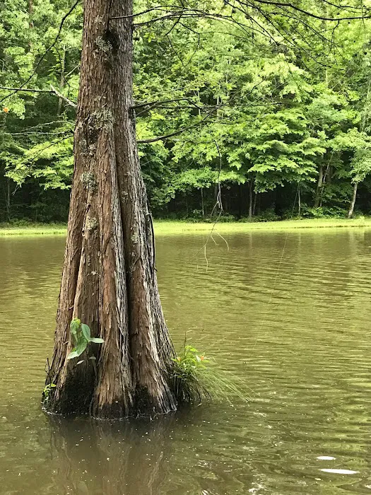 Dan Nicholas Park Campground 9