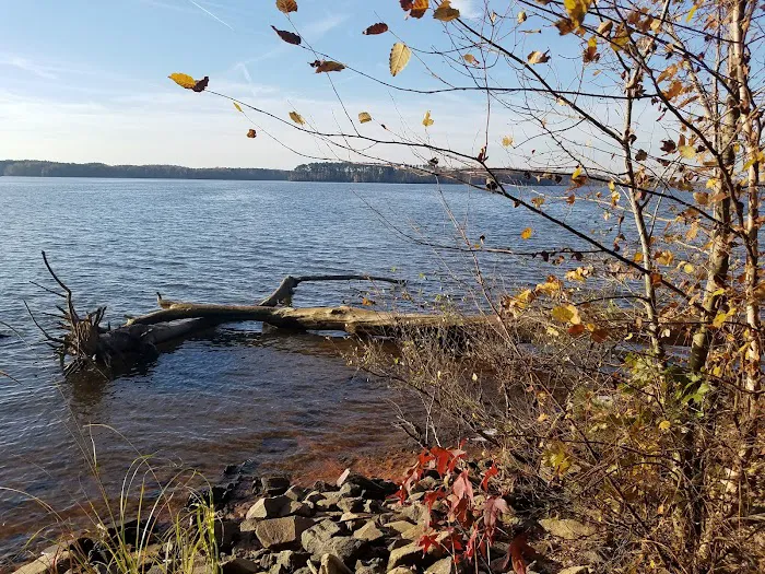 Raven Point 9