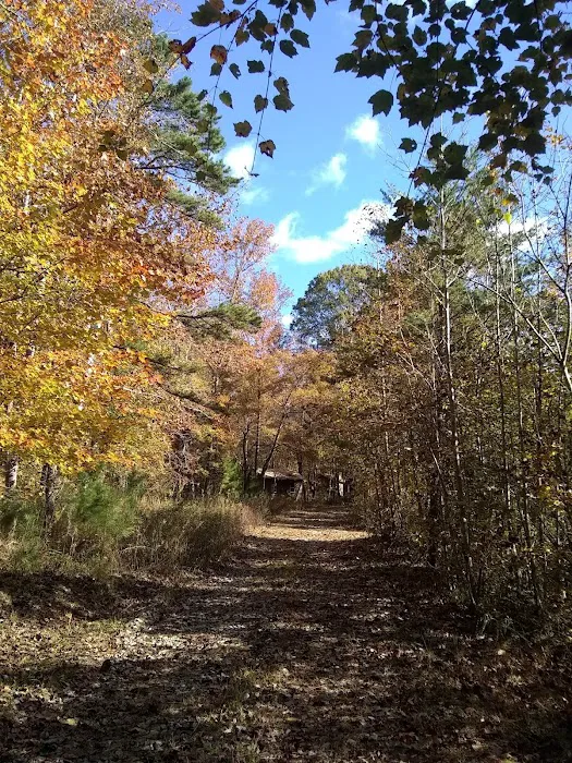 Cotton Patch RV Campground 10