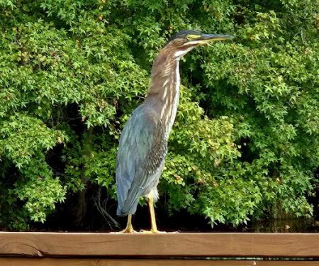 Midpoint I95 RV Park