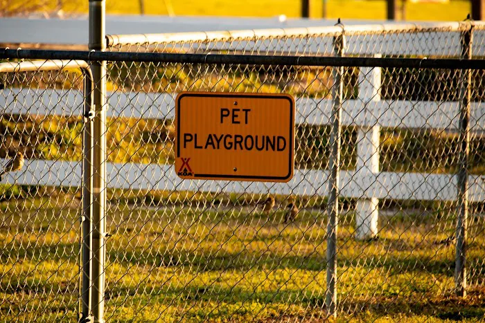 Lumberton / I-95 KOA Journey 8