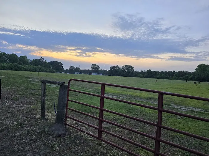 Double L Farms RV Park, LLC 3