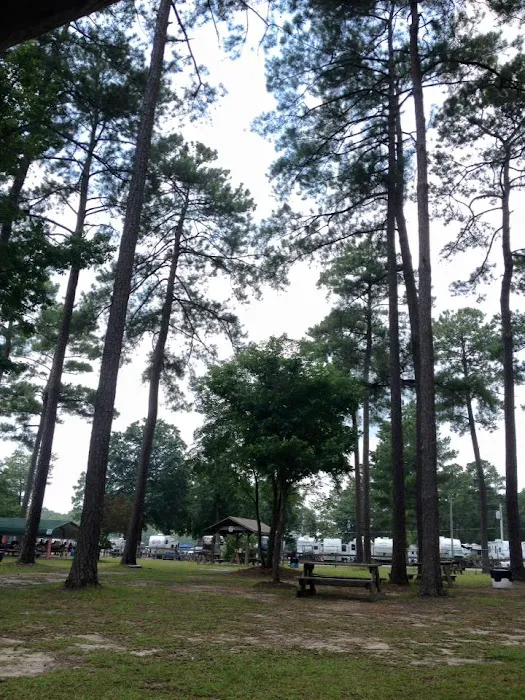 Waldo's Beach Campground 10