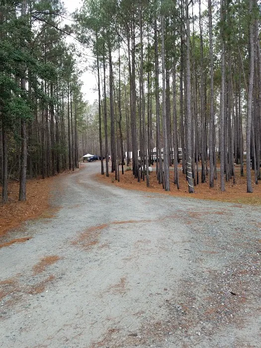 Farm Pond Campground 10