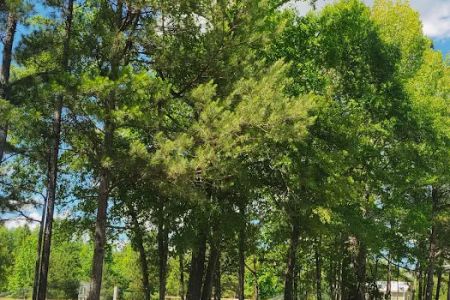 Herds Creek Campground