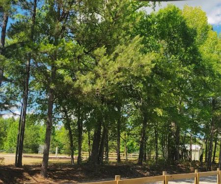 Herds Creek Campground