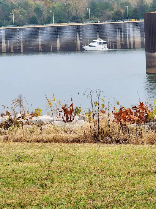 TVA Pickwick Dam Campground 2