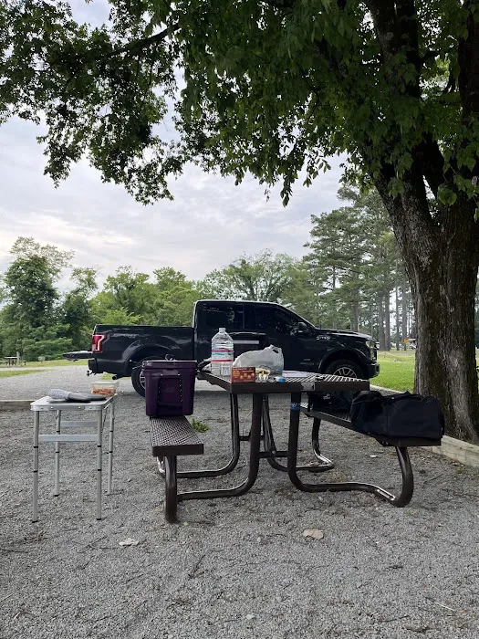 TVA Pickwick Dam Campground 6