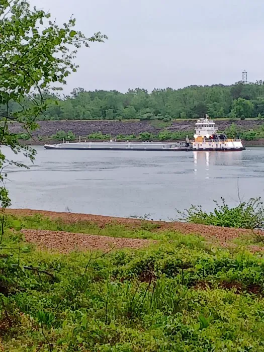 TVA Pickwick Dam Campground 5