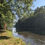 Sycamore Campground and Taco Shack