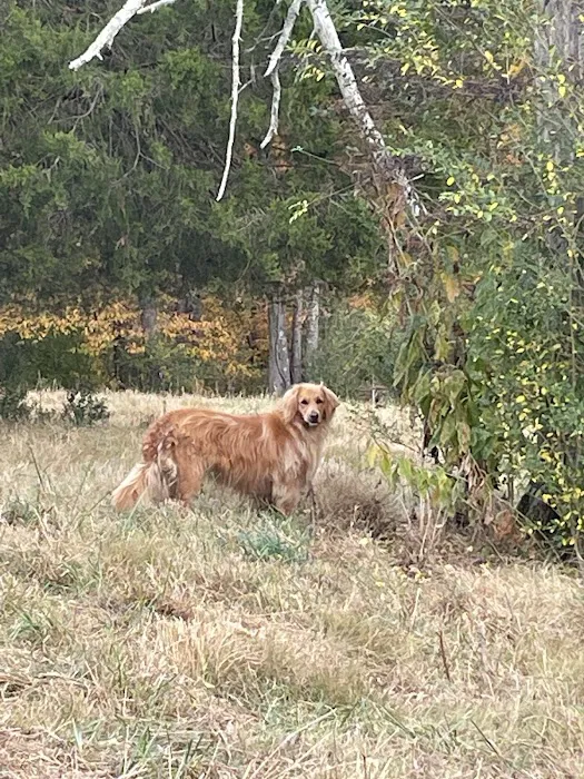Licklog RV Park and Camp 4