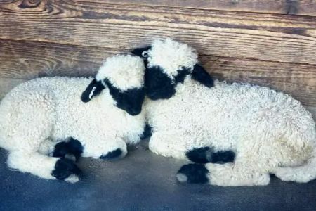 Valais Dream Ranch & Retreat