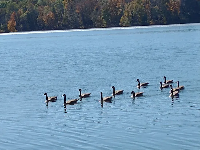 Davis Lake Campground 1