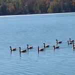 Davis Lake Campground