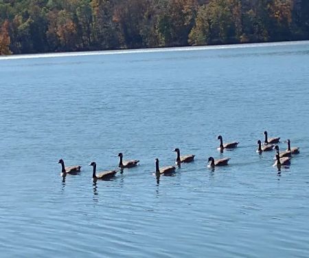 Davis Lake Campground