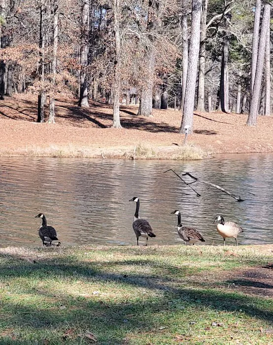 Davis Lake Campground 8