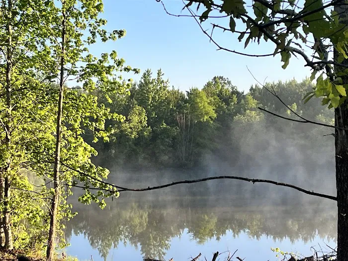 Turtle Lodge Campground & RV 5