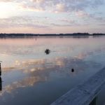 Blue Bluff Recreation Area