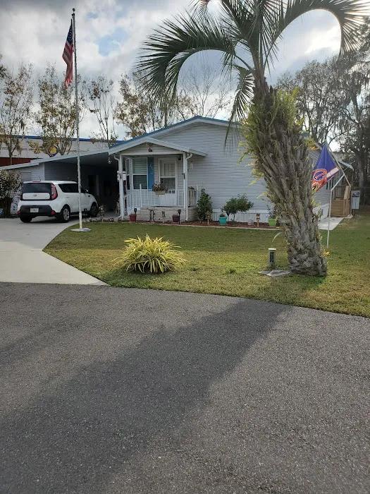Paradise Palms 1