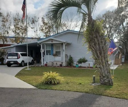 Paradise Palms