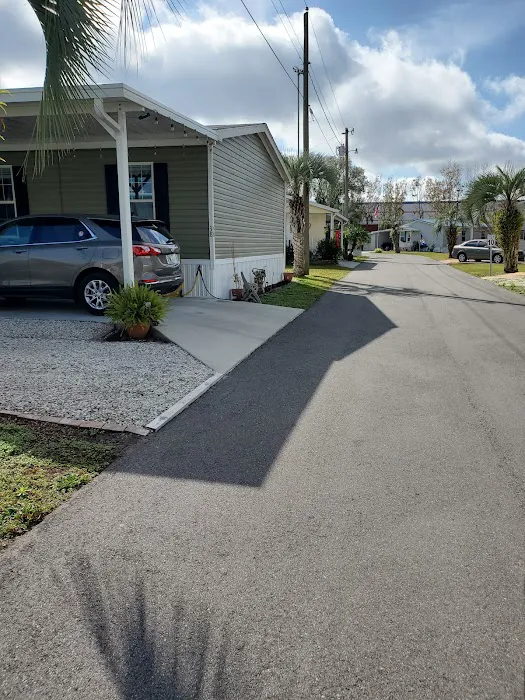 Paradise Palms 2