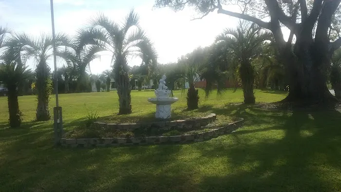 Paradise Palms 5