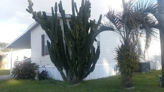 Paradise Palms 6